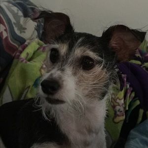 Meet your Posher, Deana